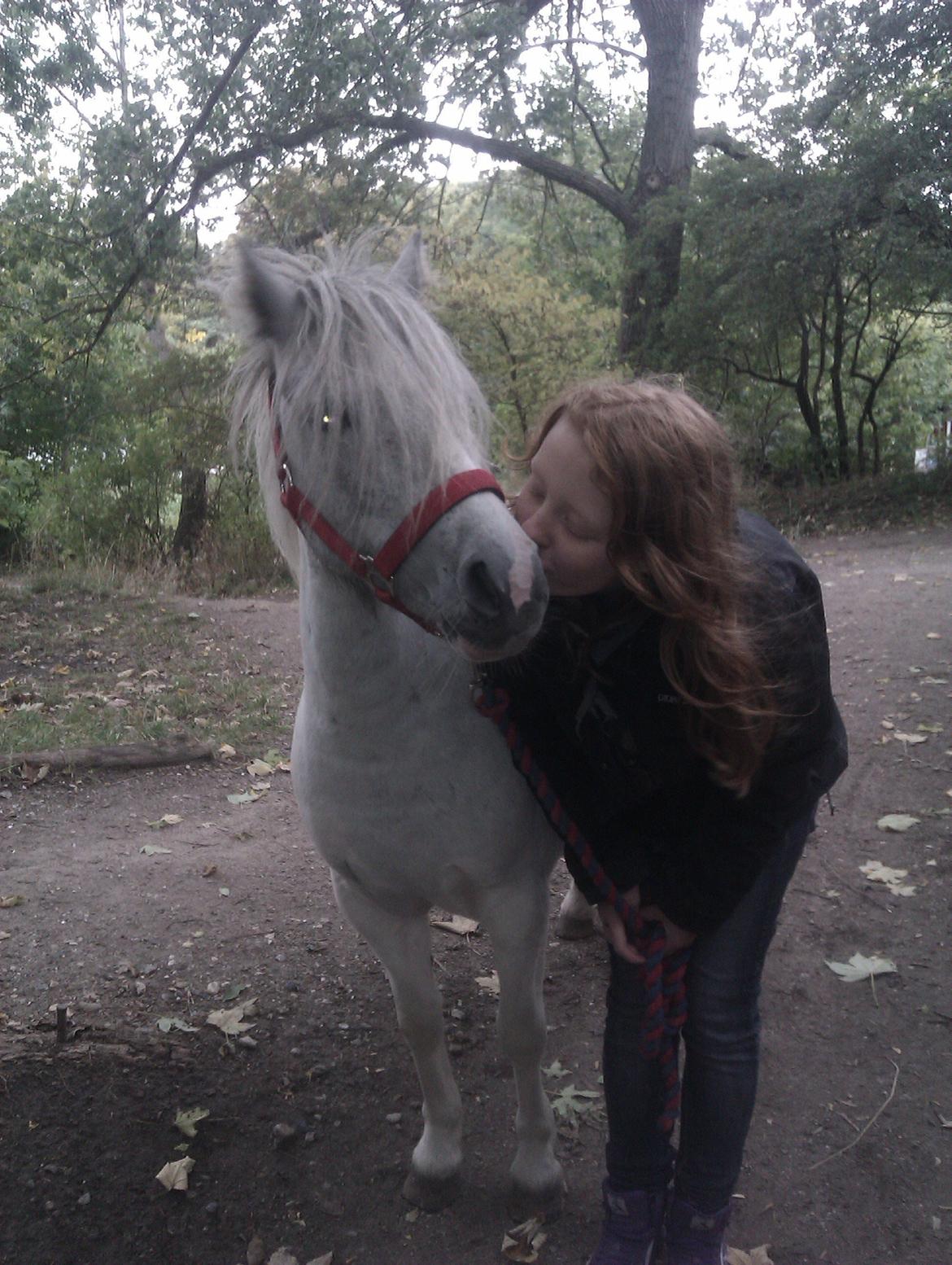 Anden særlig race Hvad med Grisling (Tidl. Passer :'( ) billede 13