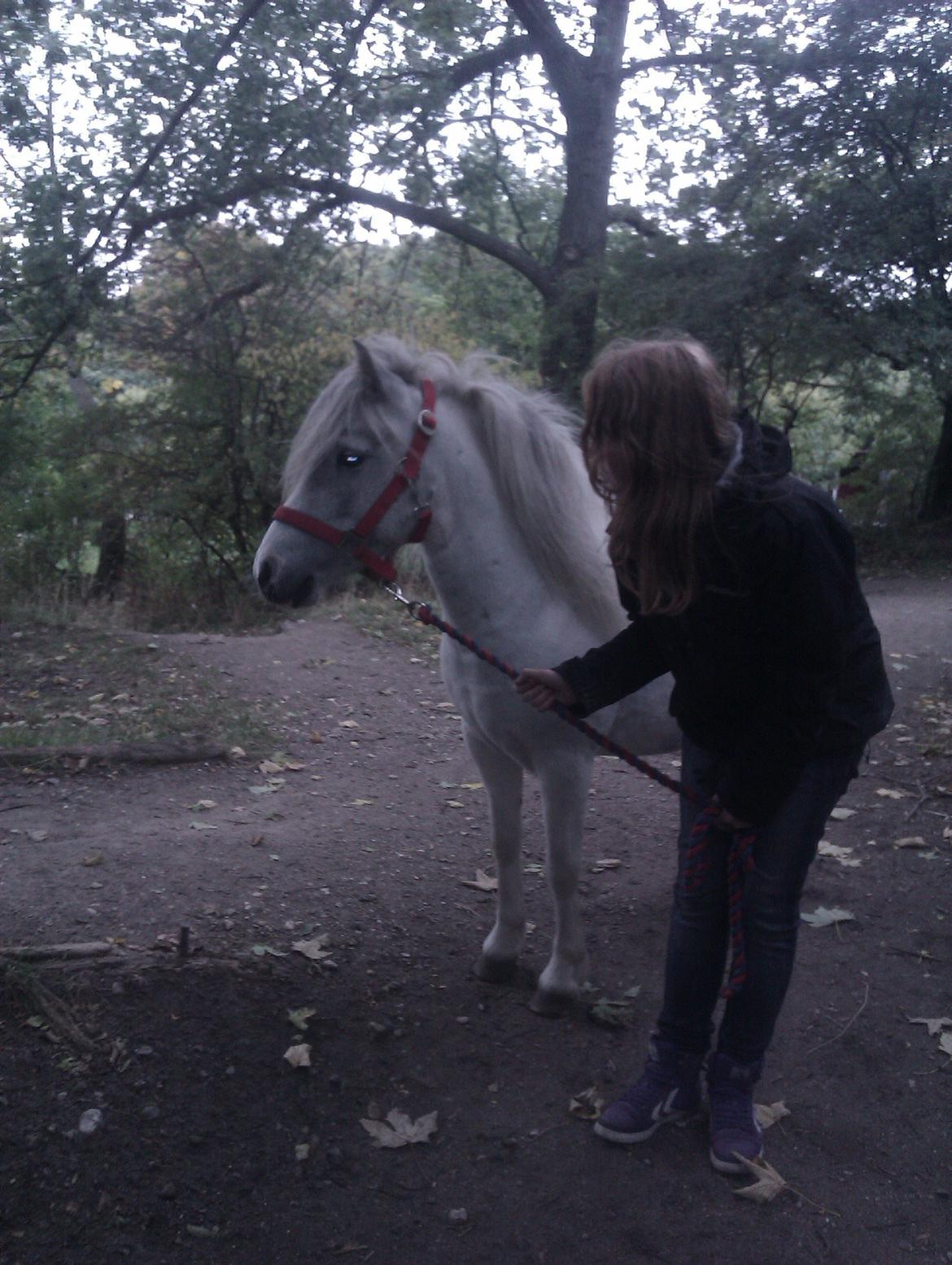 Anden særlig race Hvad med Grisling (Tidl. Passer :'( ) billede 14