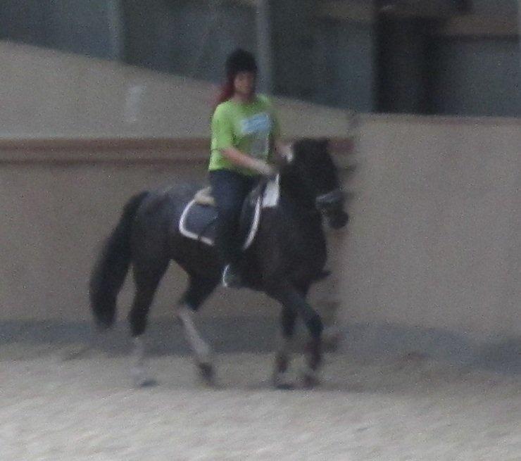 Anden særlig race Wictoria af Bakkebo billede 9