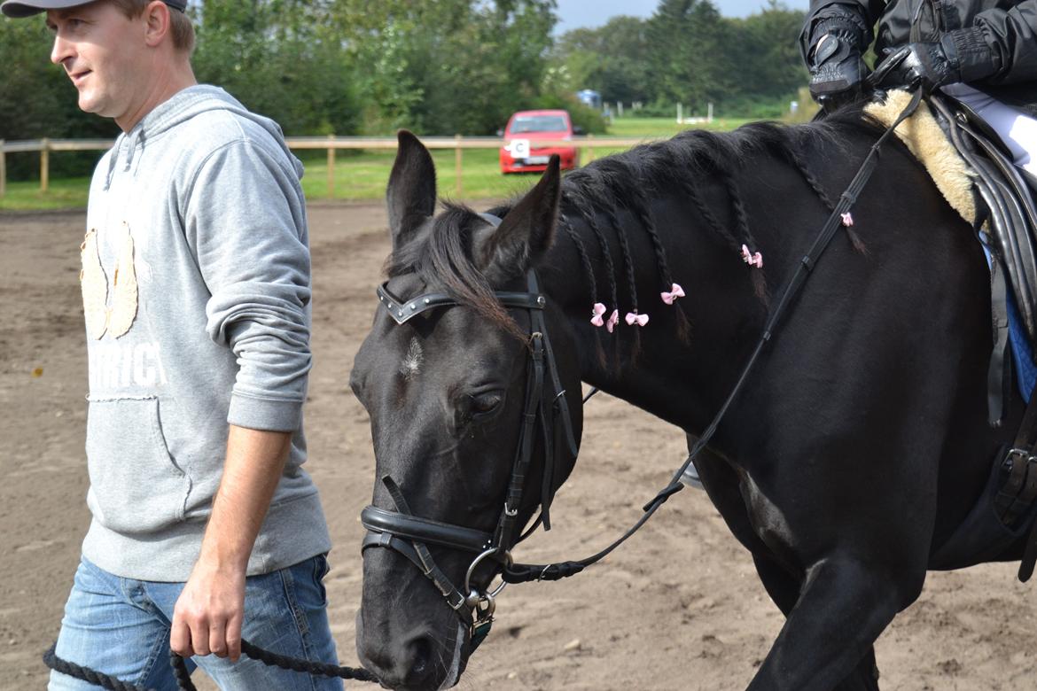 Anden særlig race Meatball - Ikke mig der rider billede 11