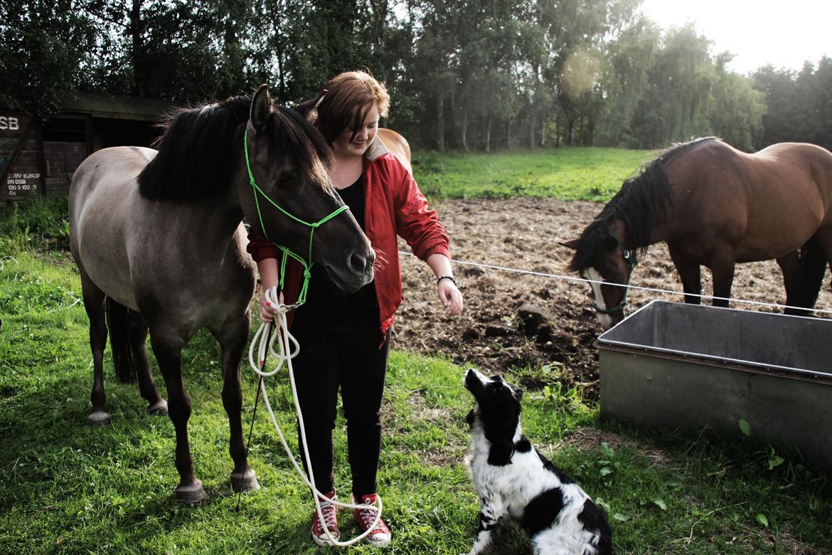 Konik Polski Tora R.I.P My ANGLE! billede 10