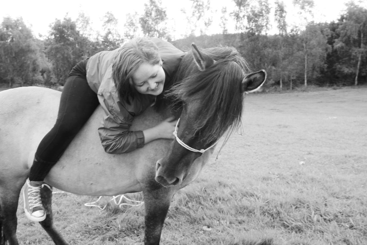 Konik Polski Tora R.I.P My ANGLE! billede 11