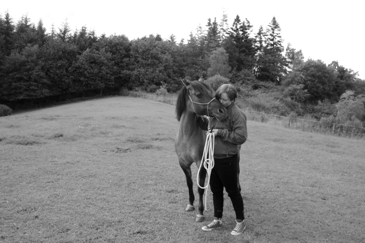 Konik Polski Tora R.I.P My ANGLE! billede 14