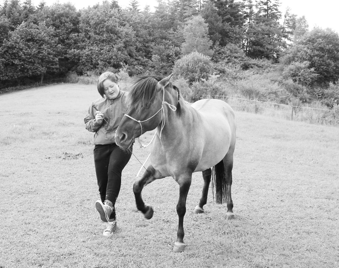 Konik Polski Tora R.I.P My ANGLE! billede 15