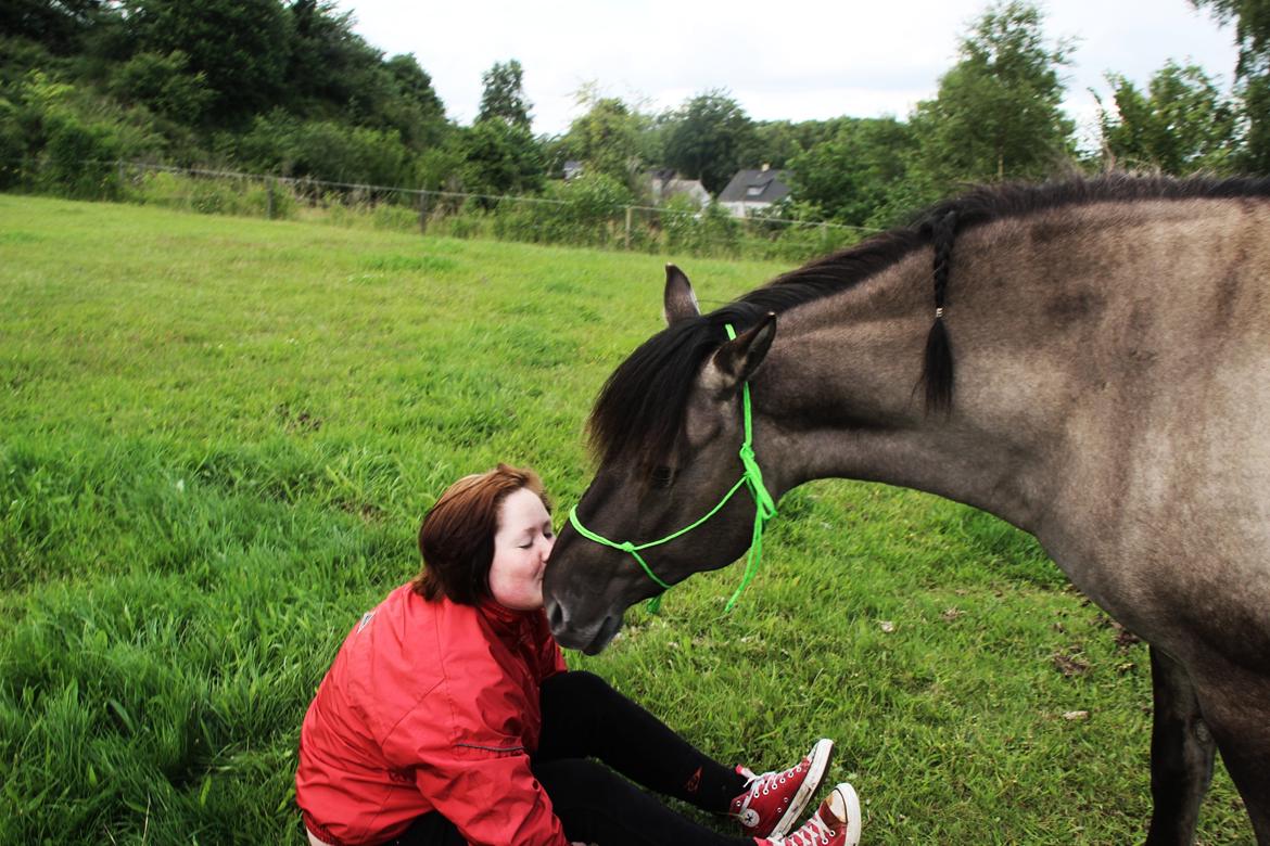 Konik Polski Tora R.I.P My ANGLE! billede 16