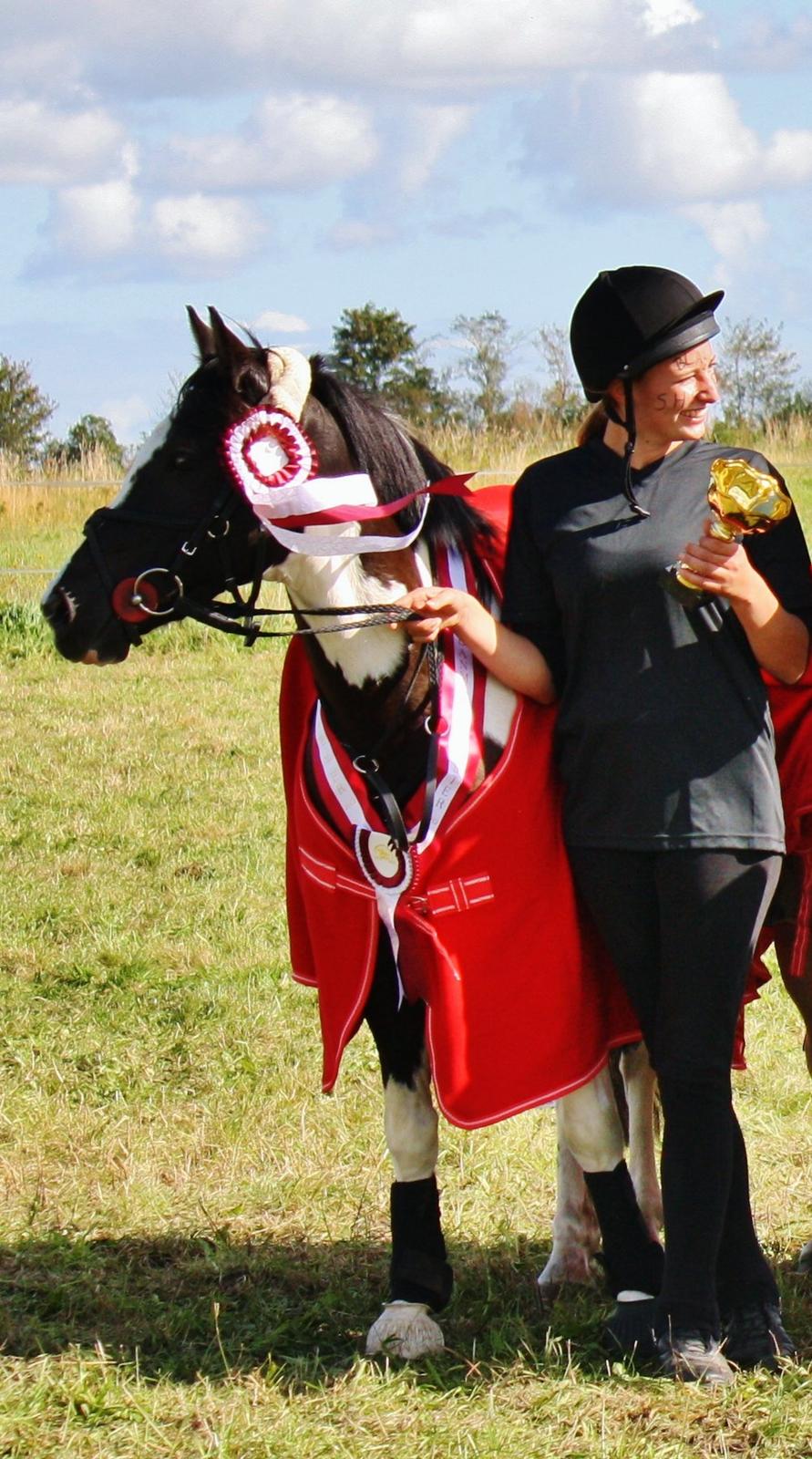 Lewitzer Gaspaspon II - Danmarksmester for hold 2012 billede 18