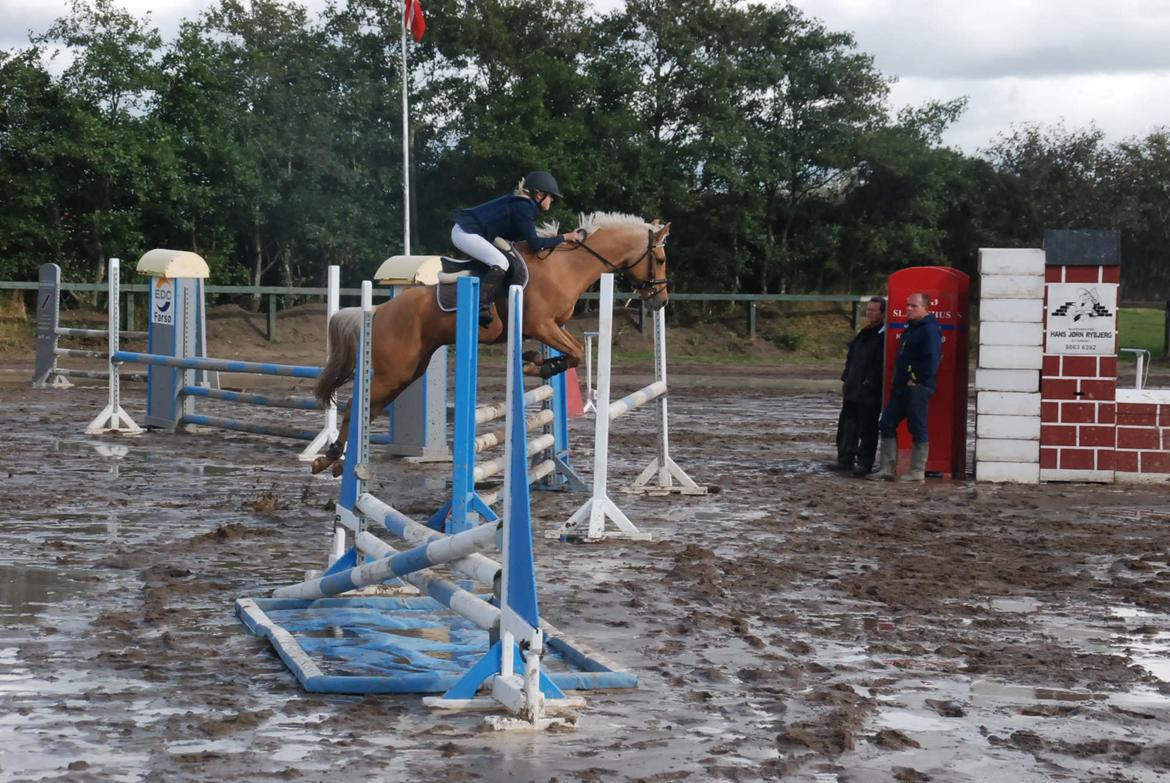 Palomino MariBo´s Mr. Perfect - Omspringning i farsø LB**.
Vi vandt med 4 sek! elsker sku den pony <3 billede 17