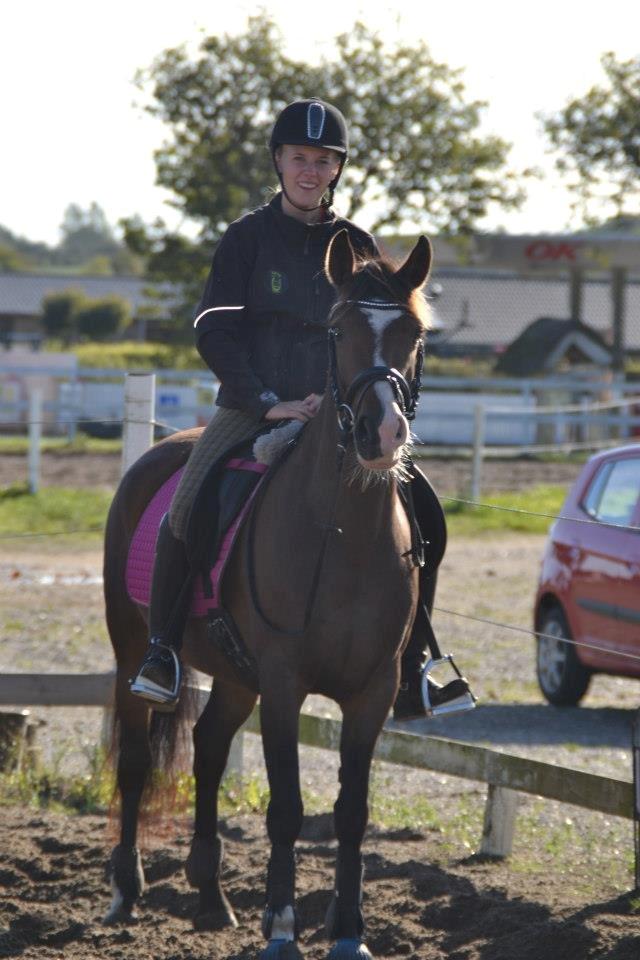 Anden særlig race Bonette  - What is love?  billede 29