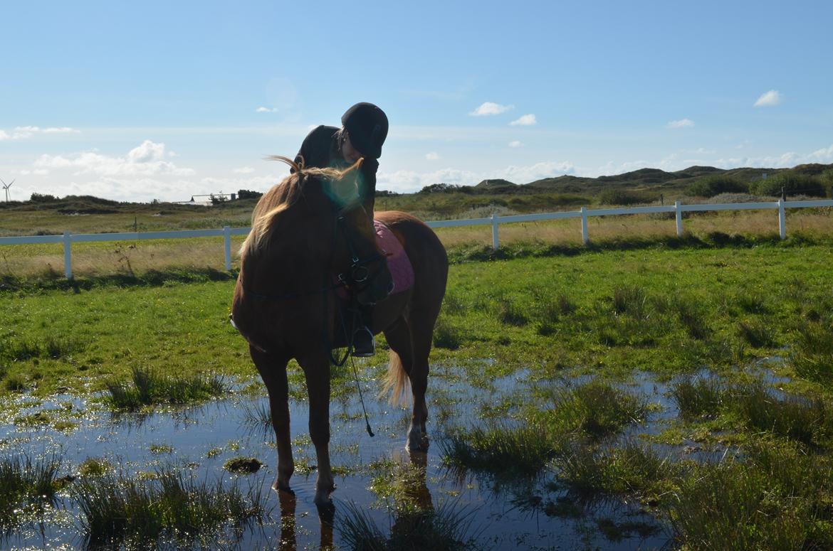 New Forest Elmholts Chasse' - when your down, i'm down, when your happe i'm happy we are like one <3 <3
Fotograf: Lotte billede 4