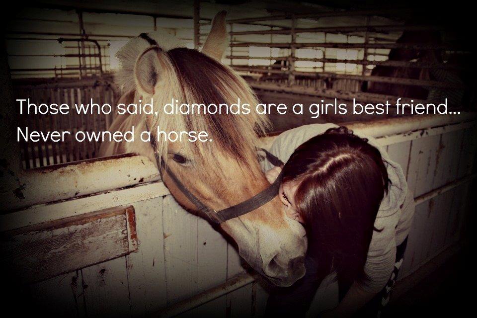 Fjordhest Desirée Vinstrup - True.. billede 7