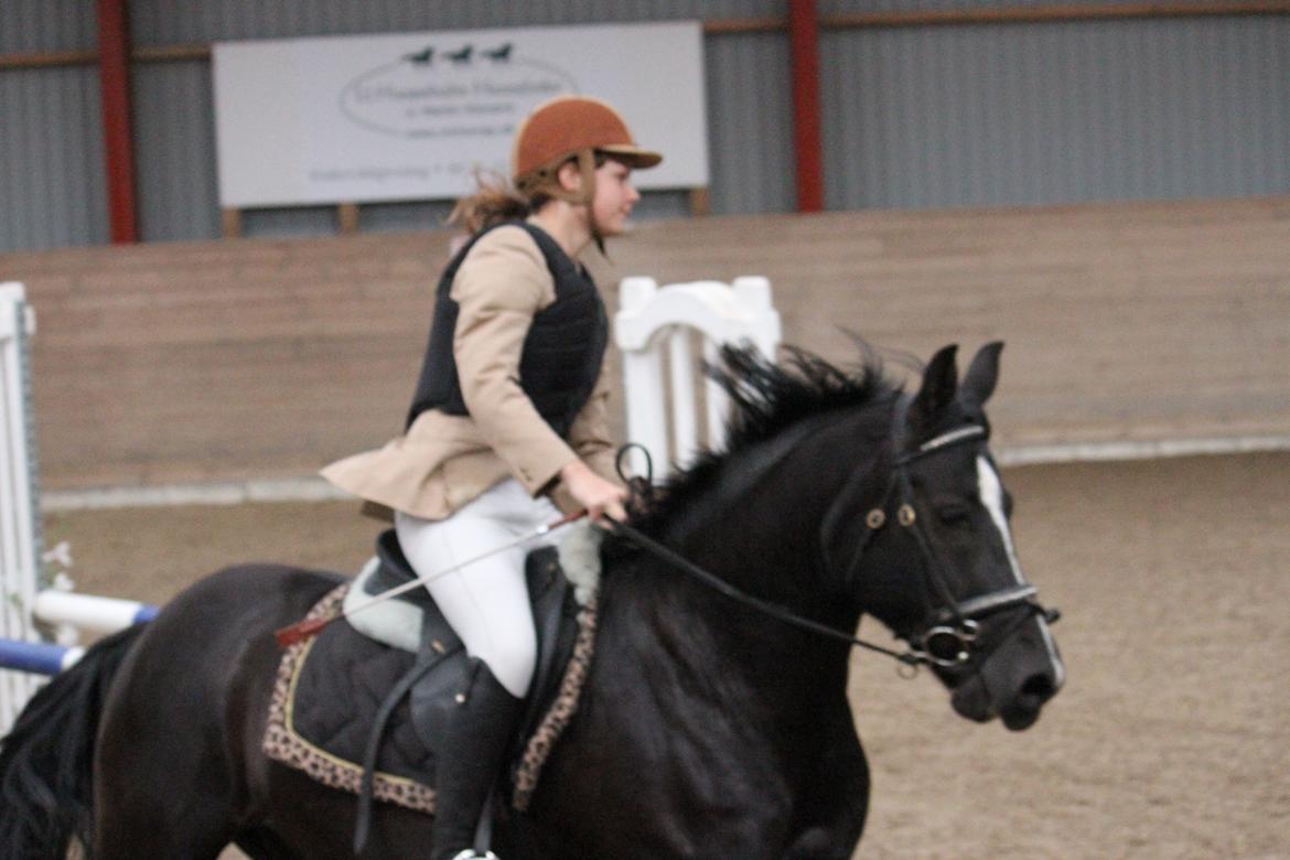 Anden særlig race Monty *Solgt* billede 8