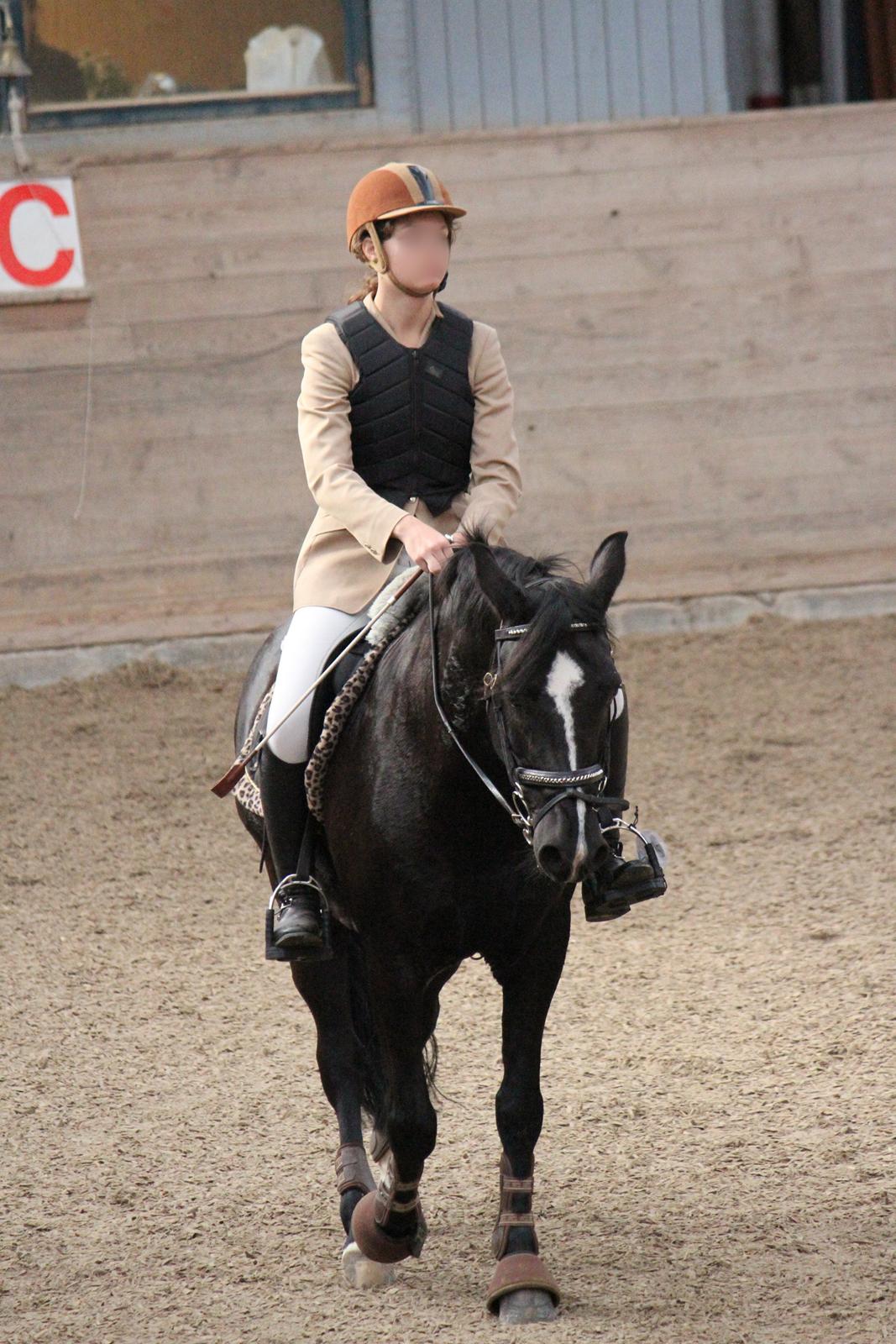 Anden særlig race Monty *Solgt* billede 9