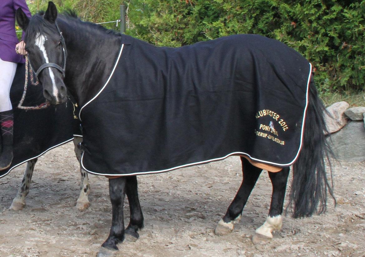 Anden særlig race Monty *Solgt* - Monty :D billede 2