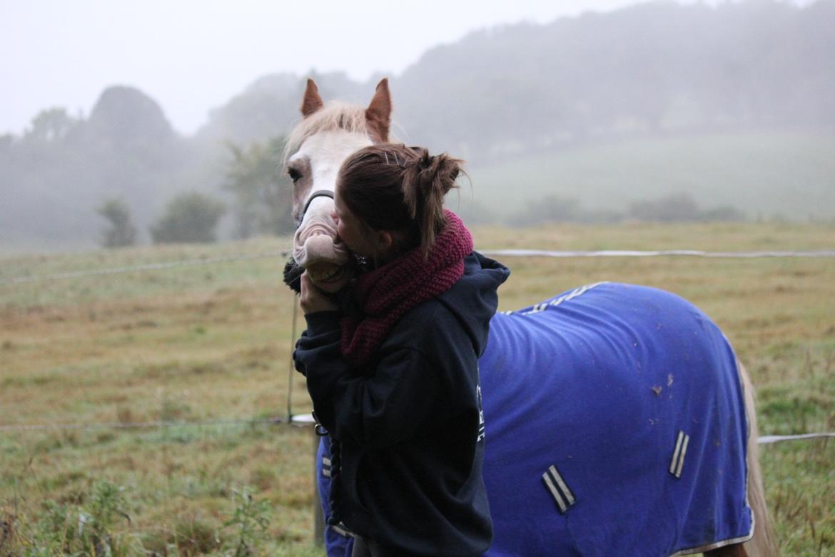 Anden særlig race Dandy RIP †† - Sidste dag med min bedste skat <3
20/1 2010 - 26/9 2012 ††  billede 3