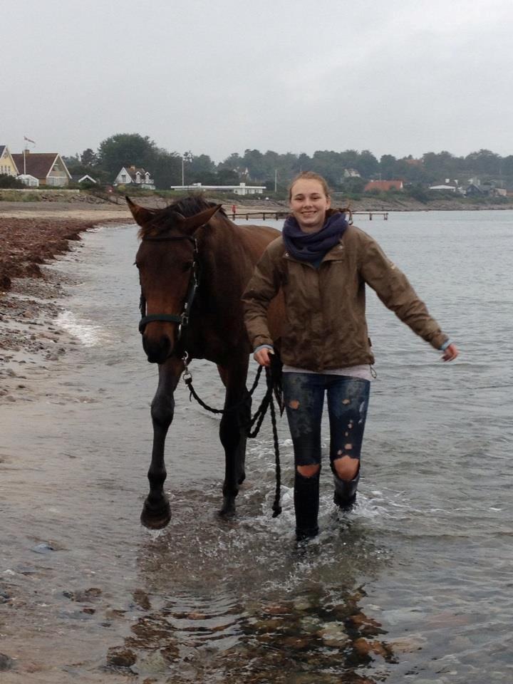 Anden særlig race Clint - Våd dag på stranden, første gang han "bader" :) - September 12 billede 18