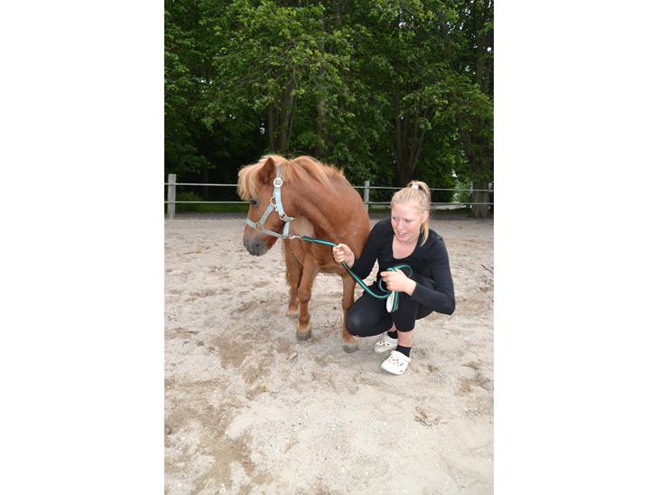 {{currentPhoto.altText}} billede {{currentPhoto.number}}