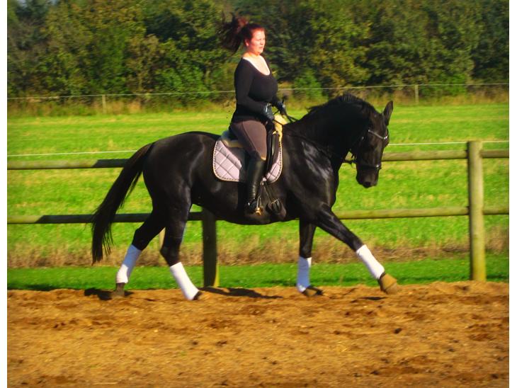 {{currentPhoto.altText}} billede {{currentPhoto.number}}