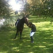 Anden særlig race Yasya<3 [Himmelhest]