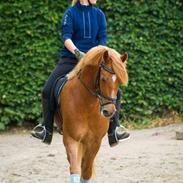 Anden særlig race Fighter