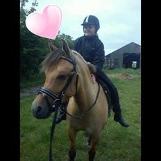 Anden særlig race Malou