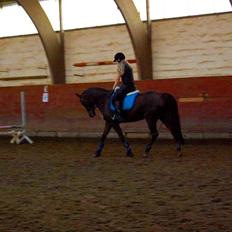 Anden særlig race Malibu<3