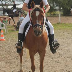 Anden særlig race Boss