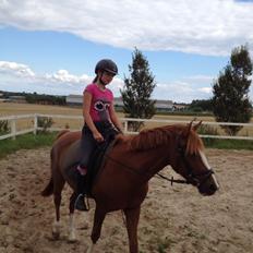 DSP Pour Lady( tidl. pony )