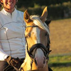 Palomino Sepstrups Diva - Rider
