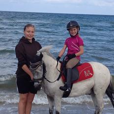 Knabstrupper Vores Tempo *Stjerne-pony*