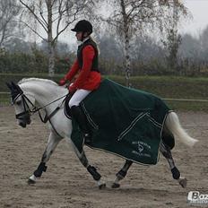 Anden særlig race Tarzan undercover