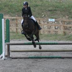 Anden særlig race Sabu