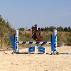 Anden særlig race Sabu