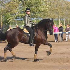 Frieser Hidde fan de"kromme Jelte' STER SPORT