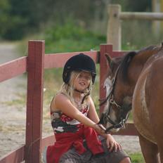 Welsh Pony (sec B) • Simba