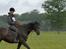 Trakehner Hamila. - Hippoaden 2012, 25 km