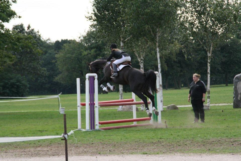 Anden særlig race Kiki Dee billede 18