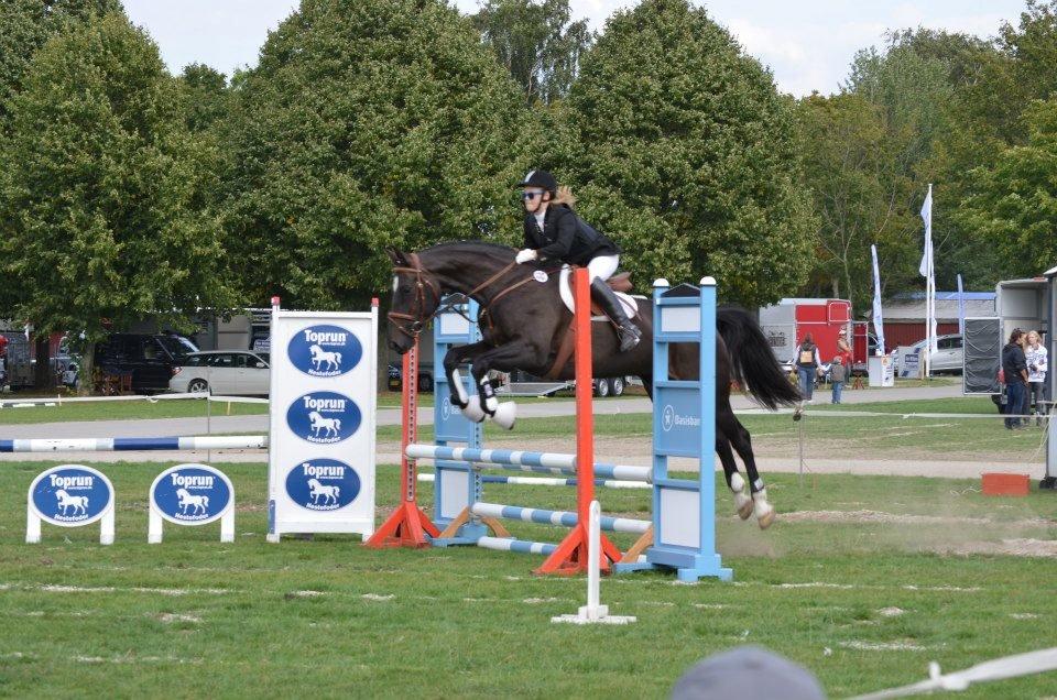 Anden særlig race Kiki Dee billede 19