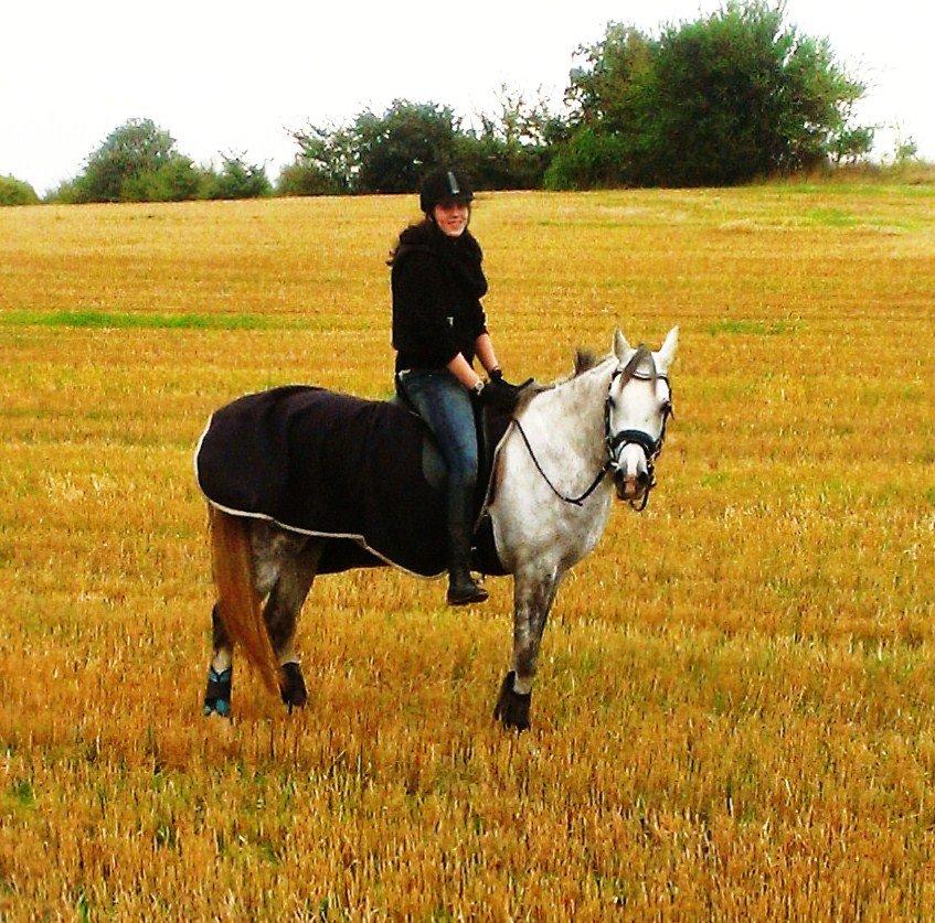 Arabisk fuldblod (OX) Dalicio OX - Ude på vores første tur :3 2 timer lang enda  billede 4