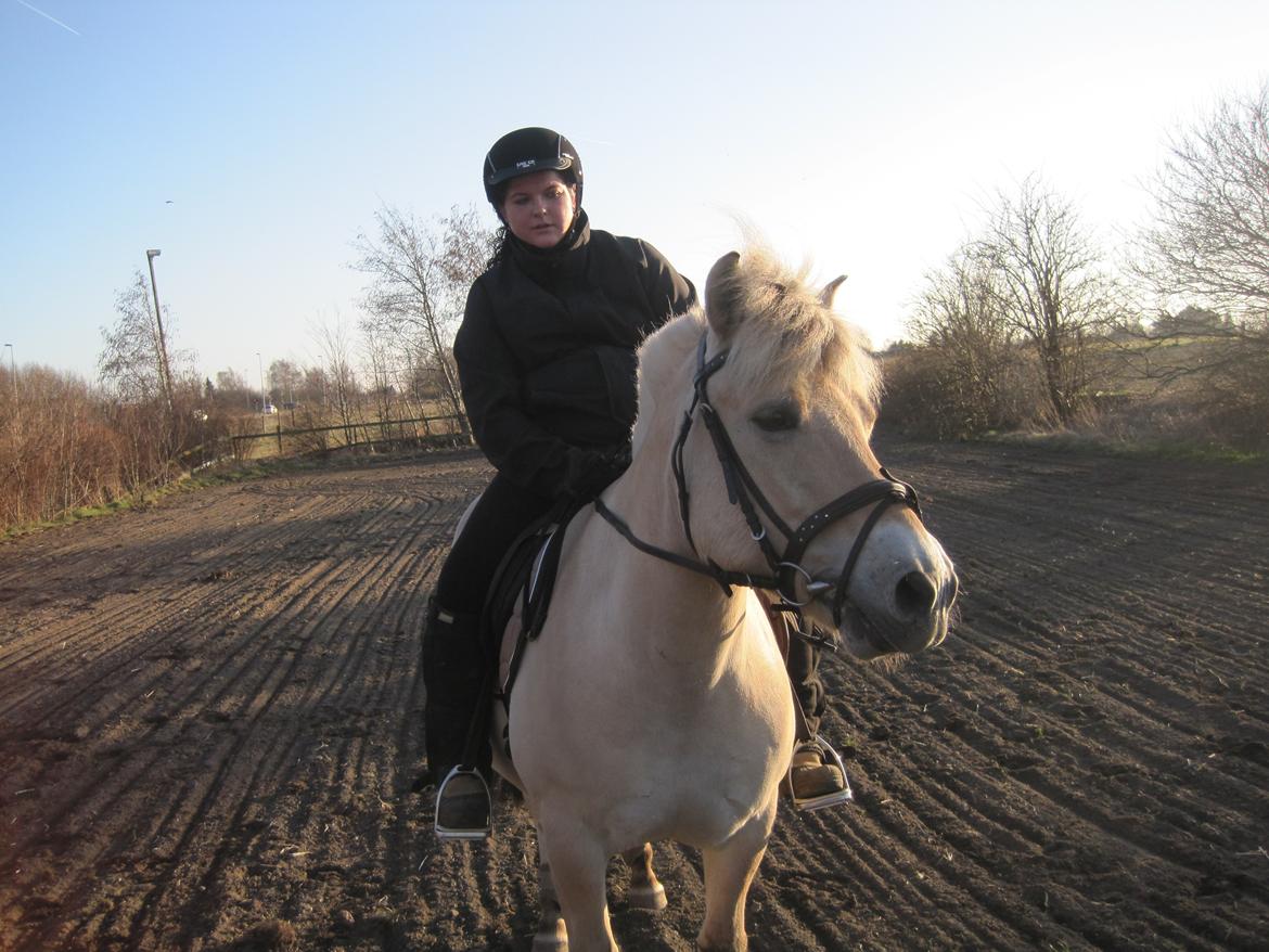 Fjordhest Højgaards Calypso - Min første ridetur på Calle <3 Han var så sød billede 6