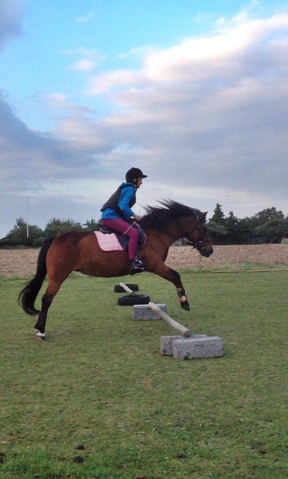 New Forest Tequila Sunrise - En af de første gange jeg springer på Tequila!<3
- Tag jer ikke af min opstilling, er totalt nybegynder inden for spring... ;-) billede 7