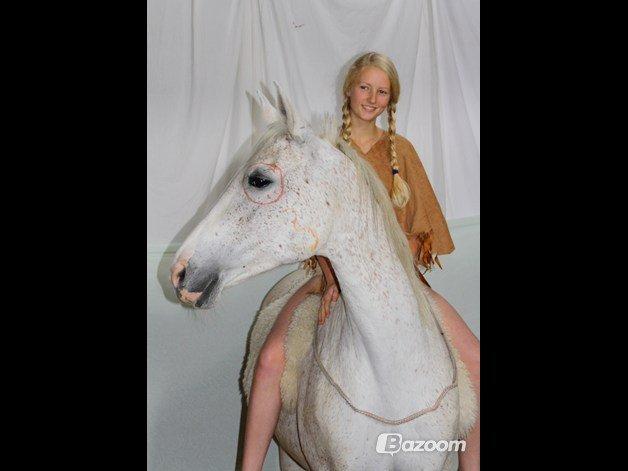 Shagya Araber (SH) Sv's O'balina Lightwood<3 - Indian photoshoot!<3
Foto: Olivia billede 16