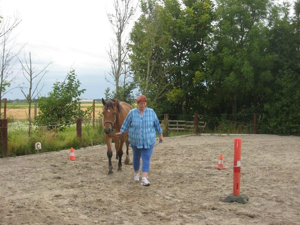 Anden særlig race Harry Potter billede 1