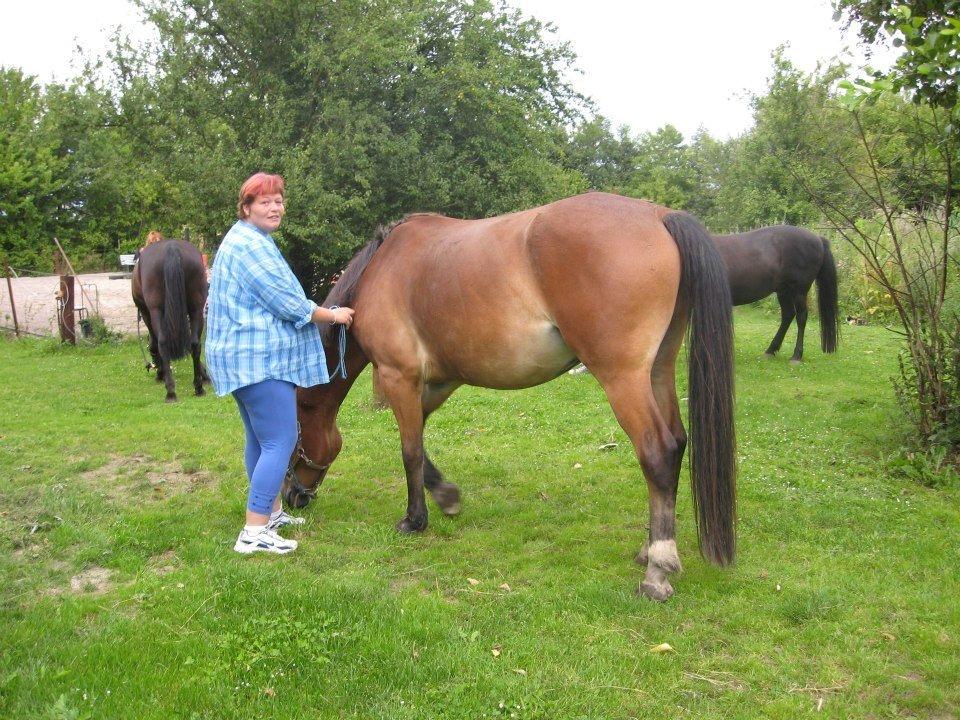 Anden særlig race Harry Potter billede 3