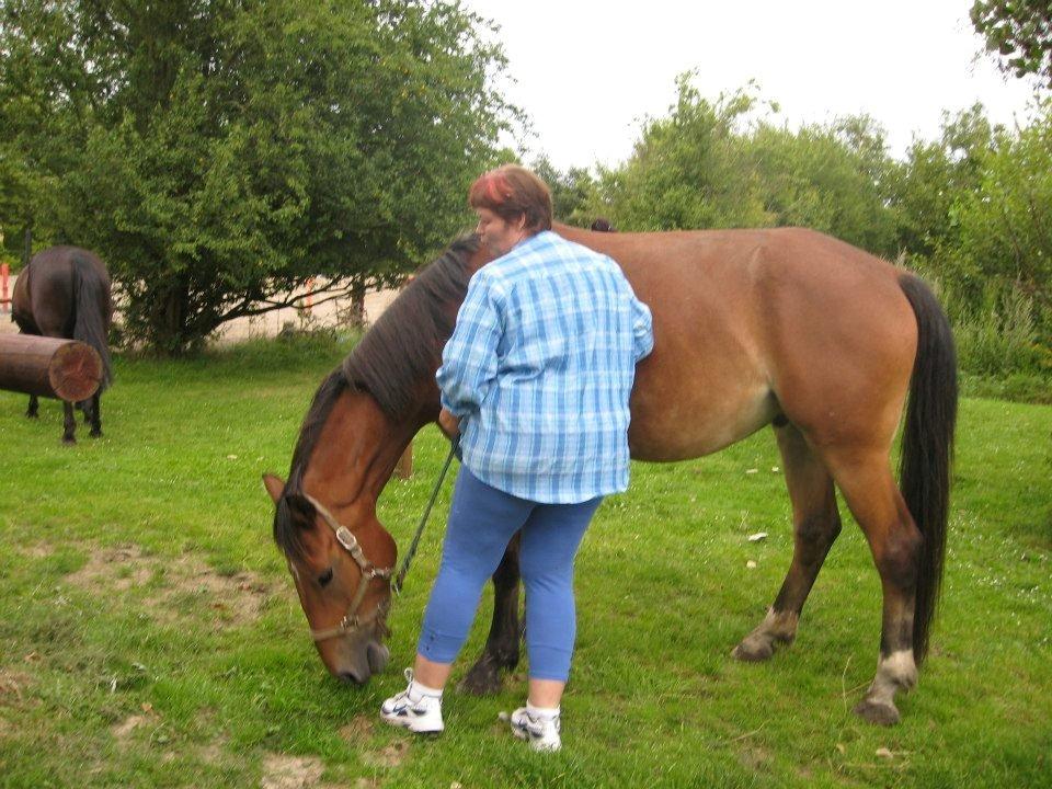 Anden særlig race Harry Potter billede 4