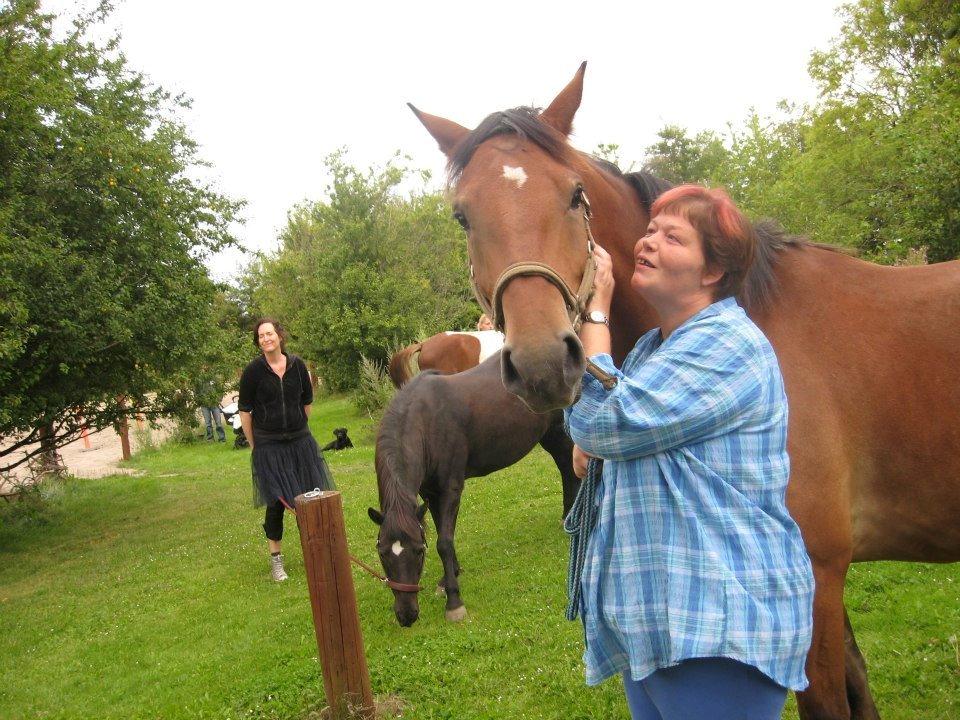 Anden særlig race Harry Potter billede 5