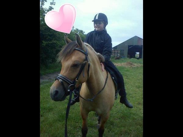 Anden særlig race Malou - Første gang jeg sad på hendes. billede 2