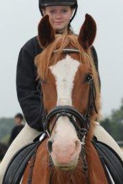 Frederiksborg Hubert. - Hubert og jeg til stævne ved happy horse. billede 12