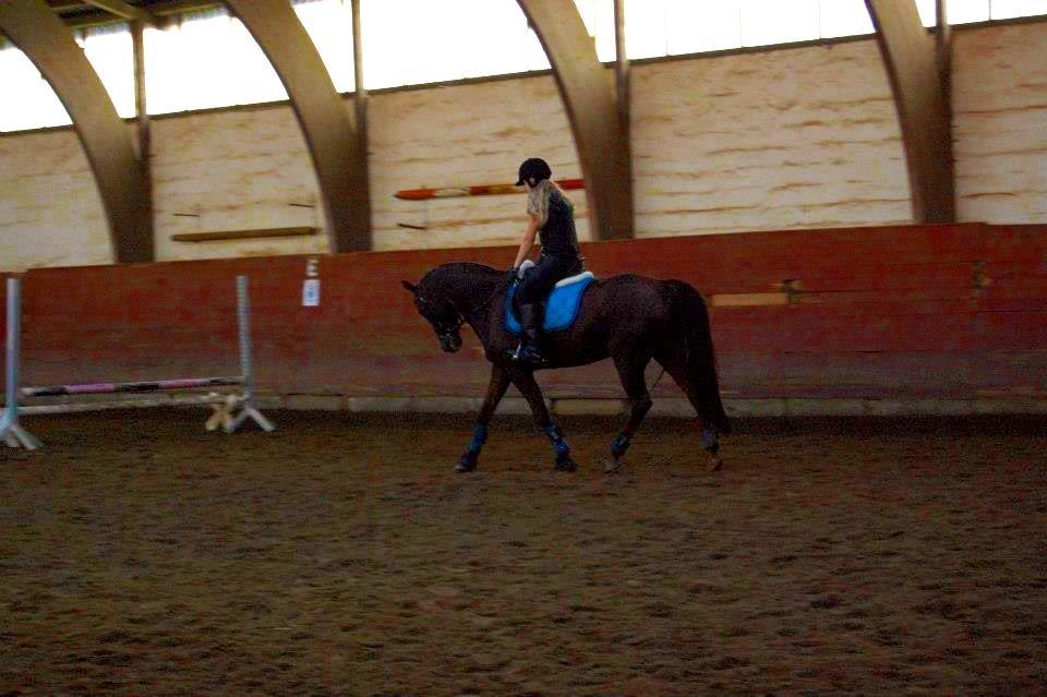 Anden særlig race Malibu<3 - Springdag<3 viiiiildt dejligt!! <3 billede 2