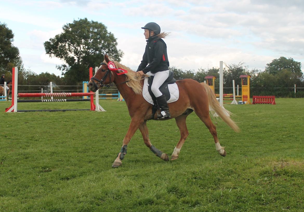 Anden særlig race Boss - 1. plads :) billede 10