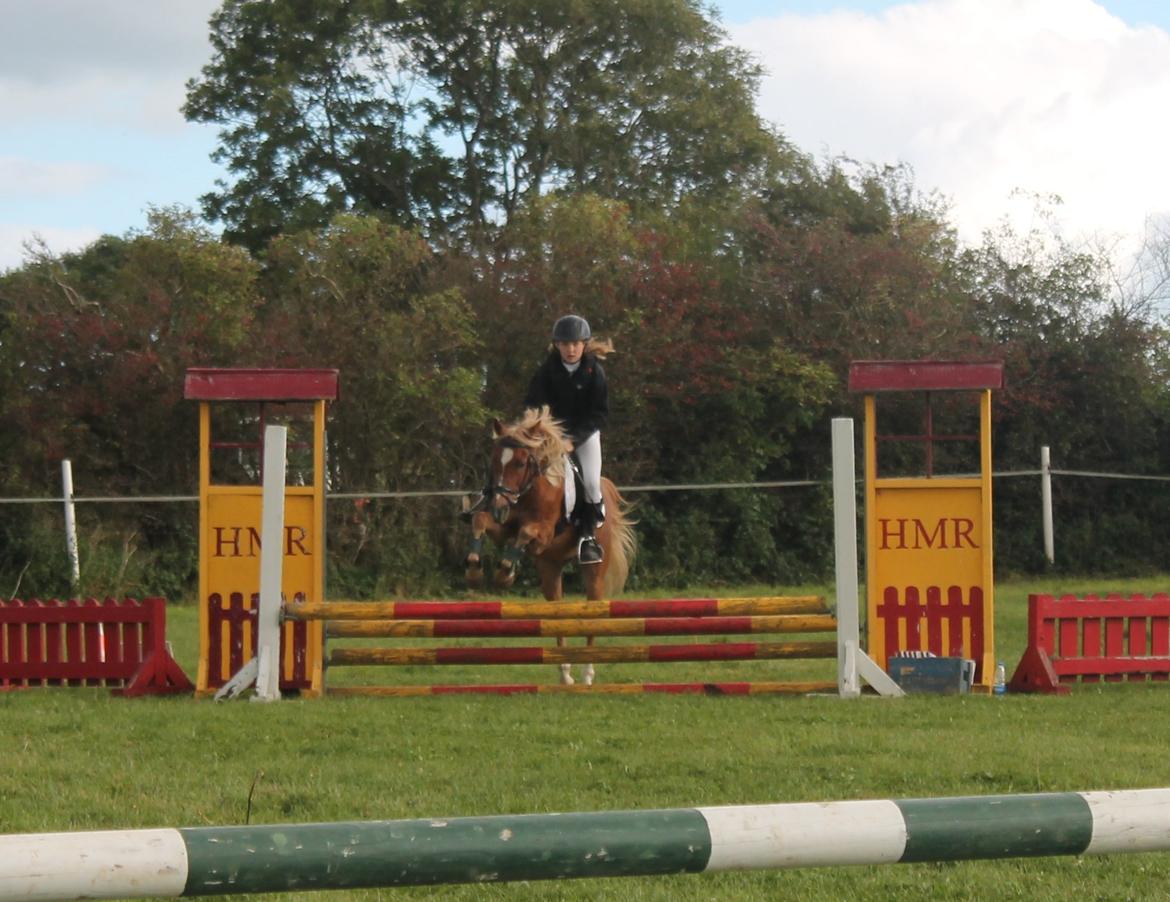 Anden særlig race Boss - LC billede 12